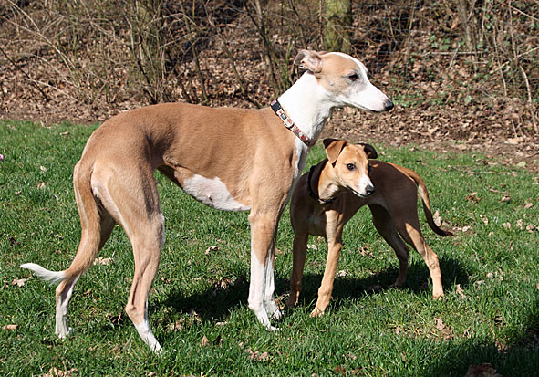 Carla & Ruby