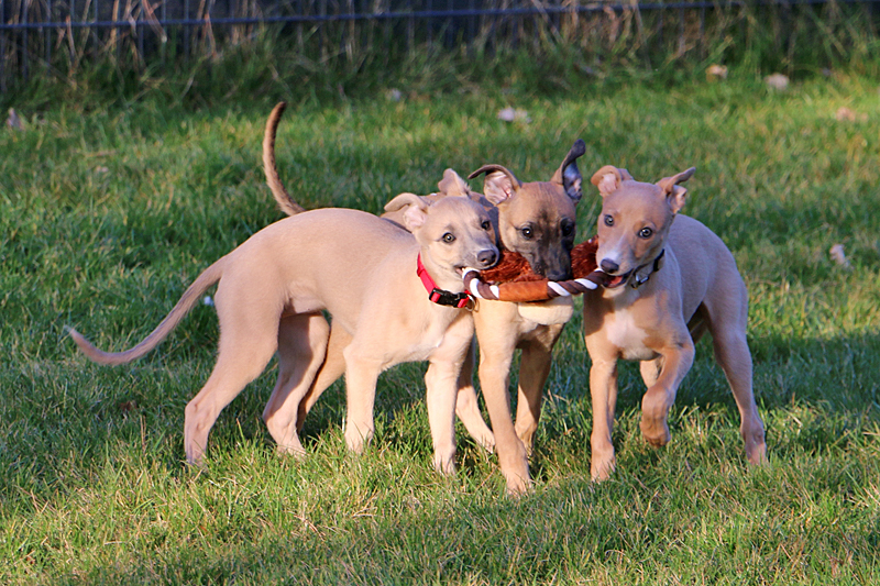 Ella, Tim
                                                          & Lilly