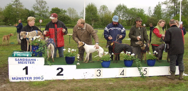 Sandbahnmeister 2005 Whippet R&uuml;den Nat. Klasse
