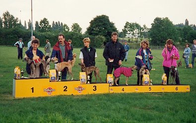 Speedy beim Rennen in Hildesheim