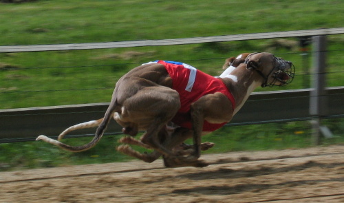 SBM M&uuml;nster 2005