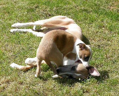 Yankee und seine Tochter Carla